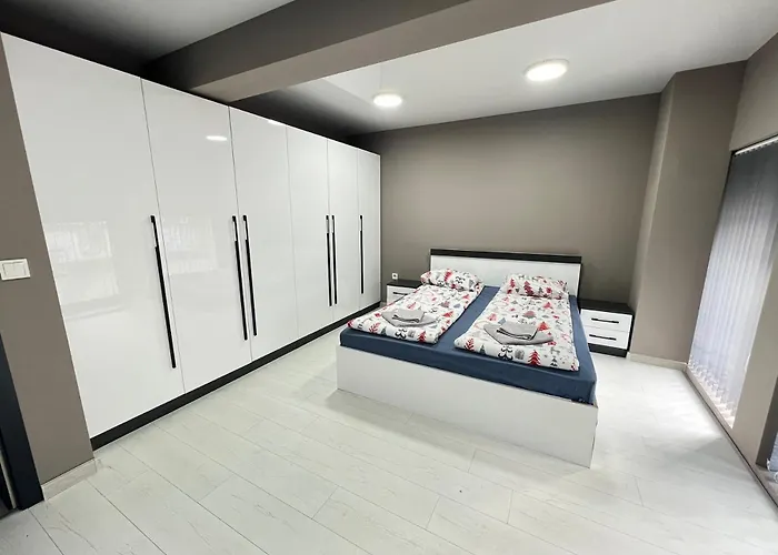 Nj Modigliani Style Varna